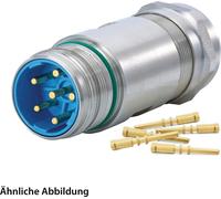 HUMMEL SET avec contacts M23 Puissance Connecteur INOX, sertissage droit Nombre de pôles 5+PE, broche Plage de serrage