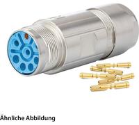 HUMMEL SET avec contacts M23 Puissance Connecteur mâle, insert à sertir droit Nombre de pôles 5+PE, connecteur femelle Plage de serrage