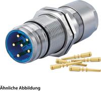 HUMMEL SET avec contacts M23 Puissance Passage mural Connecteur, sertissage droit Nombre de pôles 10 pôles, broche avec