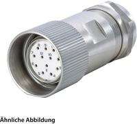 HUMMEL SET avec contacts M23 Signal INOX Connecteur de câble CEM Insert à souder droit Nombre de pôles 12 pôles, prise Sortie de câble