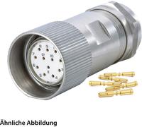HUMMEL SET avec contacts M23 Signal INOX Connecteur de câble Insert à sertir droit Nombre de pôles 11+PE, prise Sortie de câble