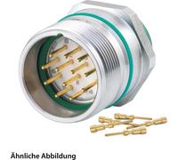 HUMMEL SET avec contacts M23 Signal INOX Connecteur pour appareils, sertissage droit Nombre de pôles 9 pôles 1+8, broche paroi avant - 1