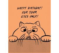 Humor Us Greeting Cards: Birthday - Happy Birthday! For your eyes only! (Pack of 6)