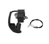 HUVNEXA Pièces de rechange de souffleur de feuilles de sac à dos | de bobine d'allumage, pour STIHL, BR500 BR550 BR600 42824001305
