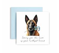 Huxters Sorry for Loss of Dog - Belge Malinois - Condolences to Dog Mum and Dog Dad - Dog Best Faithful Friend Deepest Sympathy (Belgian Malinois)