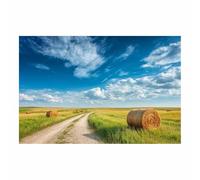 HUYEEI Tableau Paysage Nature Route de rouleau d'herbe toile decoration murale, impression d'art Convient pour la chambre, le salon, la salle de bain, etc.(bleu)-60x90cm Sans cadre