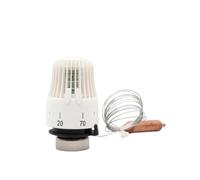 HWWW Tête De Vanne De Radiateur Thermostatique M30*1.5 en Laiton | Avec Vanne De Commande De Capteur À Distance(Actuator)