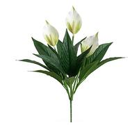 HXSCOO Fleur Artificielle Difficile à décolorer Art Fleur décor Durable Belle Texture Fine Simulation Spathiphyllum Pas d'arrosage (Color : Blanc)