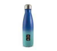 Hy-Pro offiziell lizenzierte FIFA Fußball-Weltmeisterschaft 2026 Trinkflasche mit 500/750 ml - Robuste Sportflasche aus Stahl/Aluminium zur Flüssigkeitsversorgung für Fußballfans