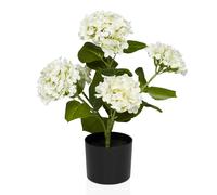 HYDRANGEA - Plante artificielle blanc / vert