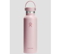 Hydro Flask 21 Oz Standard Flex Cap Bouteille rose Uni
