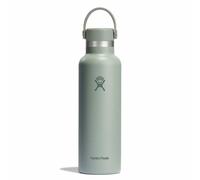 Hydro Flask - 21 oz Standard Mouth - Gourde isotherme 621 mL Agave - 21 oz (621 ml)