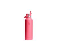 HYDRO FLASK Gourde Standard Flex Straw 21oz 621ml rose