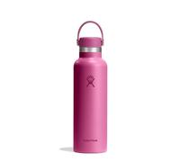Hydro Flask - Standard Flex Cap 621 ml (21 oz) Bottle | Bouteille Inox à Isolation Sous Vide - Bouchon Antifuite et Revêtement par Poudre - Reef