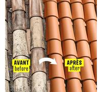 Hydrofuge coloré imperméabilisant toiture tuiles terre cuite béton ciment fibrociment ardoise hydrofuge teinté Tuile (ral 8004) 5 L (jusqu a 20m²)