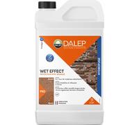Hydrofuge protecteur - aspect effet mouillé - 1 L - Wet Effect DALEP