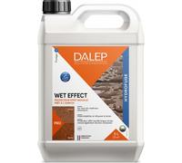 Hydrofuge protecteur - aspect effet mouillé - 5 L - Wet Effect DALEP