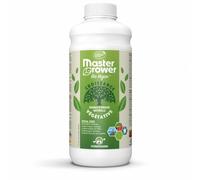 HYDROPASSION Engrais Bio Vegan Grow Master Grower 1 L - Croissance Certifié Ecocert