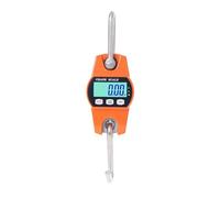 Hyindoor Peson Electronique 300kg Balance Crochet Suspendu Dynamomètre LCD Crochet Peseur Industrielle Pèse Poids 300kg/600lbs