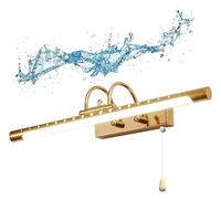 HYJAUSXB Applique Murale avec Miroir de Salle de Bain, lumière LED dorée, intensité Variable, étanche, avec Image pour se maquiller