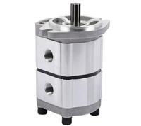 Hyuduo Pompe Hydraulique à Engrenages Double Effet -H15R Remplacement | Pièces de Mini Excavatrice, Corps en Fonte, Pression Nominale de 25 MPa, Conception en Deux Sections, Vitesse de 4000