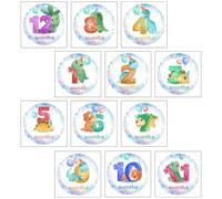 ibasenice Autocollants Accessoires Photo pour Vêtements de Bébé Étapes Importantes 12 Pcs en Papier pour Mémoriser la Croissance du Nourrisson pour Bébé du Nourrisson