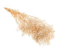 ibasenice Bouquet de Fleurs Séchées en Vrac de Gypsophile Beige Naturel, Centre de Table Décoratif Élégant pour Décoration de Mariage ou Bureau, Ambiance Automnale