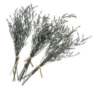 ibasenice Bouquet de Fleurs Séchées Gypsophile Naturel, 3 Branches, Décoration Familiale Élégante, Facile à Transporter et Longue Conservation