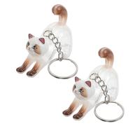 ibasenice Porte-clés Pendentif de Rangement pour Poils de Chat en Plastique et Alliage, Boîte Commémorative 2pcs pour Usage Quotidien et Souvenirs d'animaux