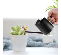 Ibenzoa® Arrosoir métallique de 300 ml – compact, avec un bec long et une embouchure fine pour un arrosage précis des petites plantes d'intérieur