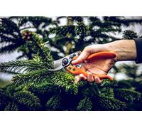 Ibenzoa® Profi-Grattoir de jardin (à cisaillement) – Coupe précise des fleurs, des branches et des arbres fruitiers, lames en acier antiadhésives, 22 mm, 210 g, manche ergonomique en matériau souple