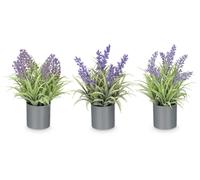 Ibergarden Macette Cylindre Lavande Assortie 15 x 21 x 15 cm Plastique Ciment Liège Violet Vert (Set de 36)