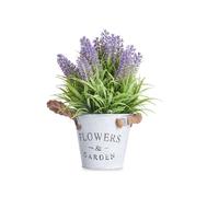 Ibergarden Plante Lavande Pot Métal 25 cm Vert/Violet avec Soucoupe 18x26x16 cm (Set de 12)