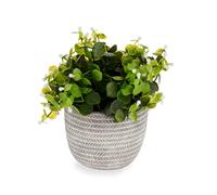 Ibergarden Plante Verte Fleur Blanche avec Pot Gris Plastique 20x20x20 cm (Set de 8)