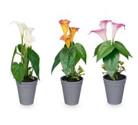 Ibergarden Pot Conique pour Glaïeuls, Assortiment 20 x 35 x 15 cm, Plastique et Ciment, Couleurs Aléatoires (Set de 12)