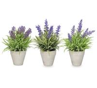 Ibergarden Pot en ciment lavande assorti 15x22x15 cm plastique et liège violet/vert (Set de 24)