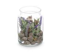 Ibergarden Pot en Cristal avec Lavande 12 x 17 x 12 cm (Set de 12)