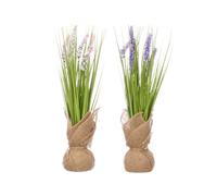 Ibergarden Ramillete Saco Lavande Surtis Couleurs 10x41x10 cm - Plastique et Rafia - Violet, Fuchsia, Violet Clair (Set de 6)