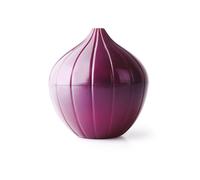 IBILI 782502E Boîte de Conservation pour Oignons