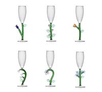 Ichendorf Botanica set 6 Flûte Optique