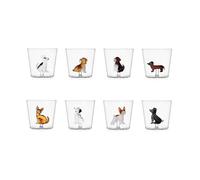 Ichendorf Milano - Set de 8 verres Tumbler Acqua - DOGS - Designed by Alessandra Baldereschi