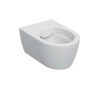 iCon cuvette WC seule sans bride, vendue sans abattant, blanc (501.661.00.1)