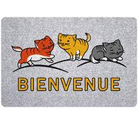 ID Mat Tapis Paillasson Fibres de polypropylène aiguilleté sur Semelle précoat avec Flocage, Gris, 40 x 60 cm