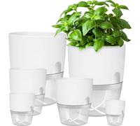 iDattel Pot d'herbes aromatiques set de 6 | Système d'irrigation | Rebord de fenêtre cuisine | 23.5/15.3/10.5/8.2cm