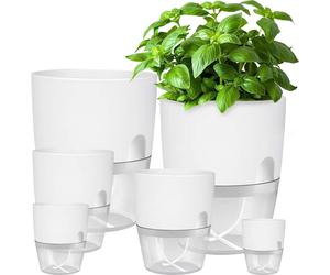 iDattel Pot d'herbes aromatiques set de 6 | Système d'irrigation | Rebord de fenêtre cuisine | 23.5/15.3/10.5/8.2cm