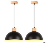 iDEGU 2pcs Moderne Suspension Luminaire Industriel 25cm Lustre Vintage Abat-jour en Demi - cercle Plafonnier pour Salon Chambre