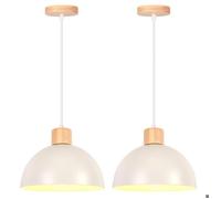 iDEGU 2pcs Suspension Luminaire Moderne 25cm Lampe de Plafond Rétro Abat-jour en Demi - cercle Lustre Industriel pour Salon Chambre