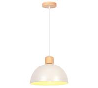 iDEGU Suspension Luminaire Moderne 25cm Lampe de Plafond Vintage Abat-jour en Demi - cercle Lustre Industriel pour Salon Chambre