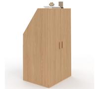 IDMarket - Armoire sous Pente 2 Portes Juliette 60 x 50 x 70/110 cm Effet Lattes tasseau Bois Coloris chêne