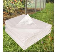 IDMARKET Bâche armée transparente 4x6 m renforcée